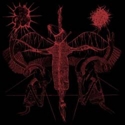 White Medal : White Medal - Skullflower